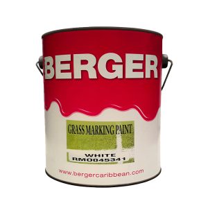 Berger Grass Paint