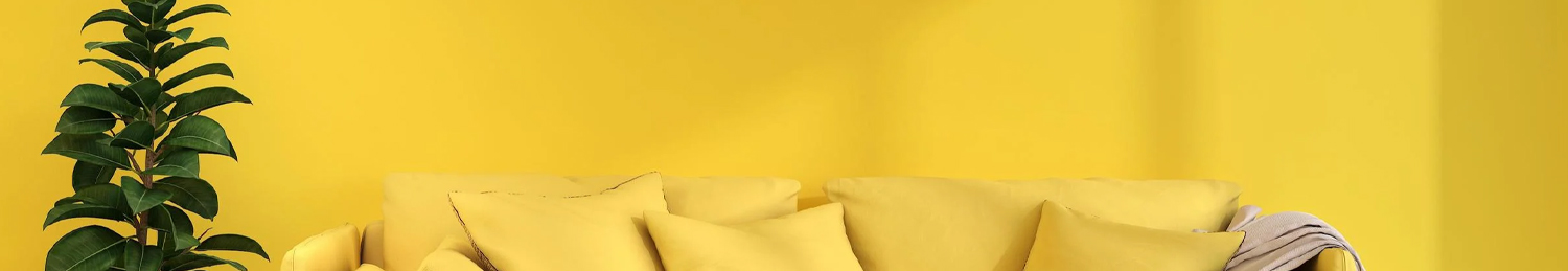 Shop Our Yellows - The Colour Shop Jamaica